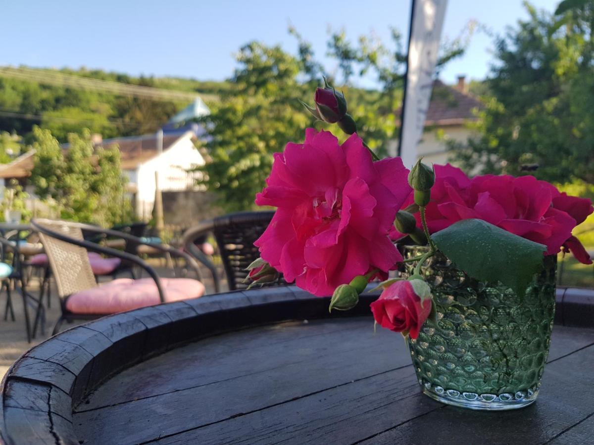 Antaloczy Cottage Tokaj Εξωτερικό φωτογραφία